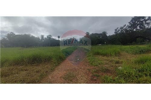 En venta terreno en nuevo fraccionamiento- Luque — foto 4