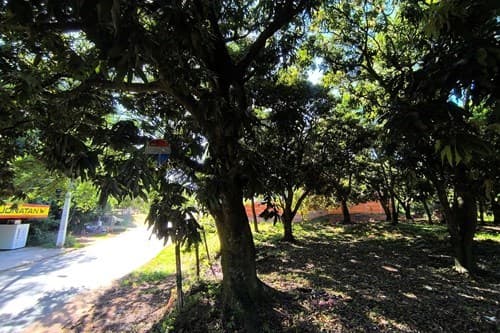 En venta terreno estrategico en caacupe — foto 3