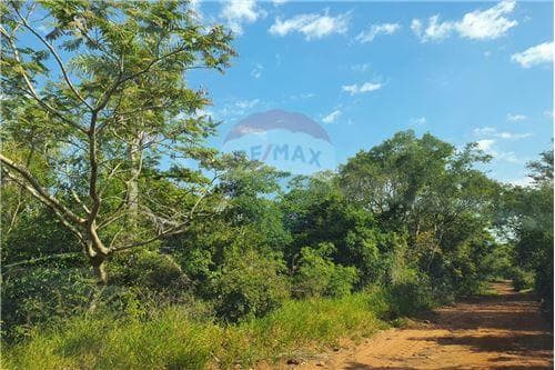 Terreno en venta en Caacupé — foto 5