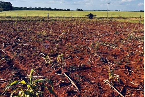 Terreno en Carmen Del Paraná: ¡Inversión Única!, foto 2