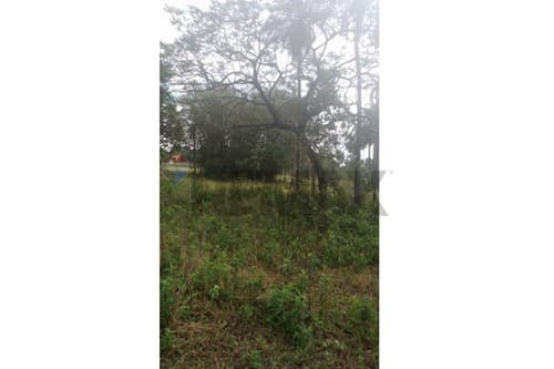 Terreno de Ensueño en Barrio San Blas, Caacupé — foto 4