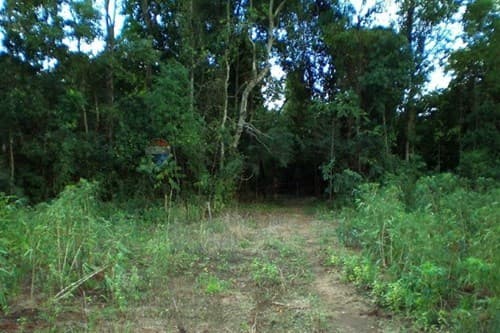 🌿 74 Hectares of Opportunity to Invest, Produce, and Grow, foto 4