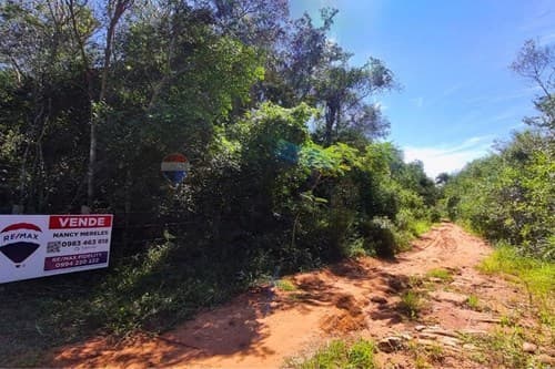 de amplio Terreno en Piribebuy Cordillera, foto 4