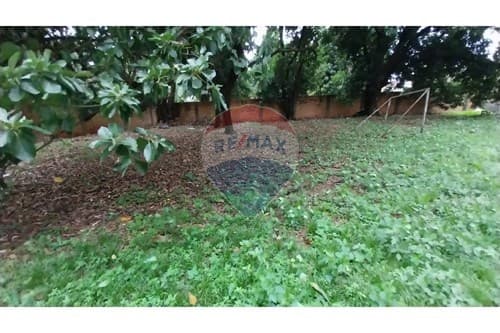 Hermoso terreno a 50 m de c.lambare — foto 4