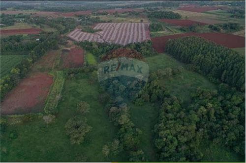 Propiedad de 31 hectáreas - Encarnación, foto 2