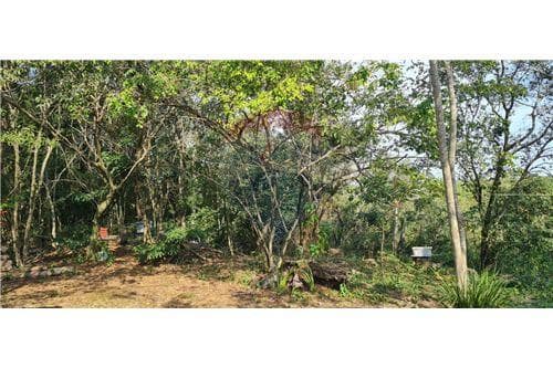 Hermosa propiedad 2,5 Hectareas en Loma Grande — foto 3