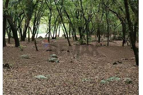 Terreno en PARQUE ALTO, Ypacaraí — foto 2