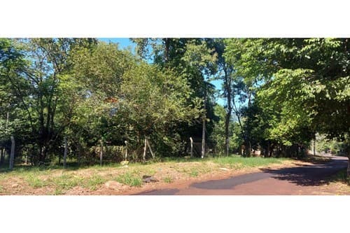 En venta terreno de 9.945 m2 en km 3 Monday — foto 3