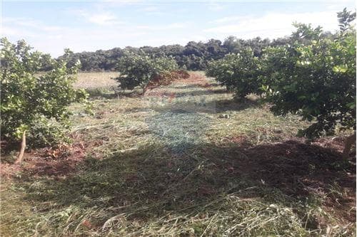 Vento Campo de 87 has