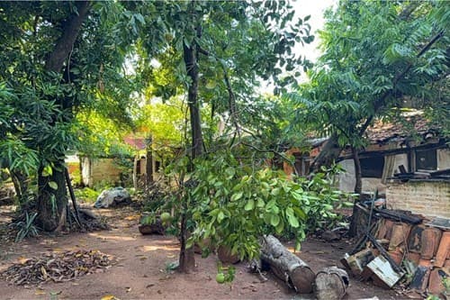 Terreno en Luque, foto 3