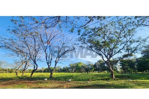 Propiedad de 13,5 ha en piribebuy-cordillera — foto 3