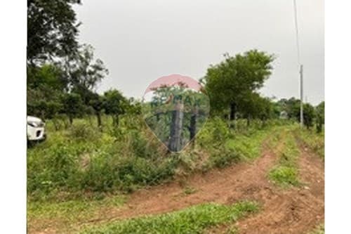 Terreno - Itapua Alto Verá — foto 1
