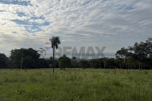 Alto parque un estilo de vida — foto 3