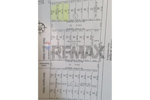 Terreno .Zarate Isla. Luque — foto 1