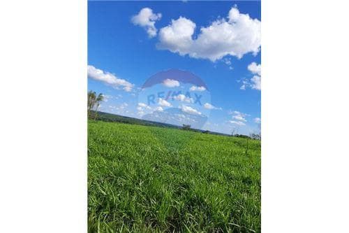 Vendo terreno de 12.9 hectareas en caaguazu
