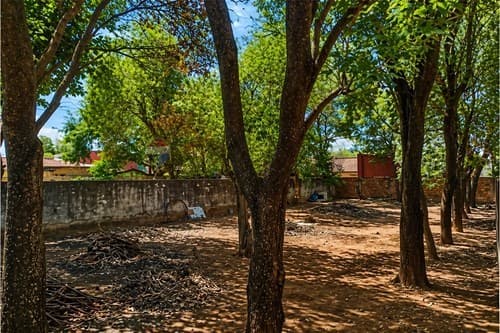 Terrenoen Luque laurelty — foto 1
