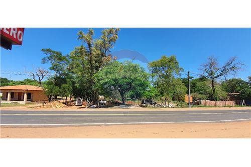 Terreno ruta Luque limpio, foto 3