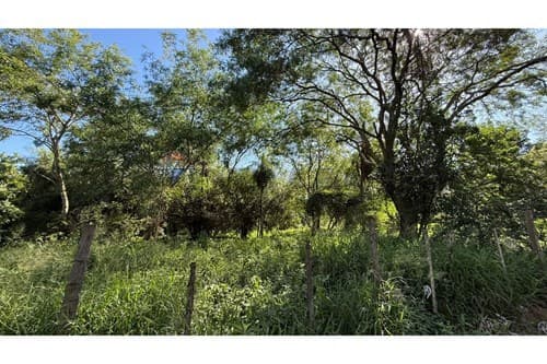 Terreno en venta 12.662m2 en esquina en Luque, foto 3