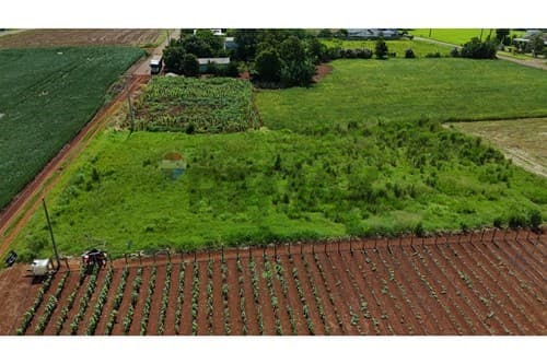 Terreno en el Centro de Naranjal, Alto Paraná — foto principal