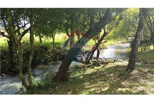 Casa quinta en cambyreta a 15 min de encarnacion — foto 5