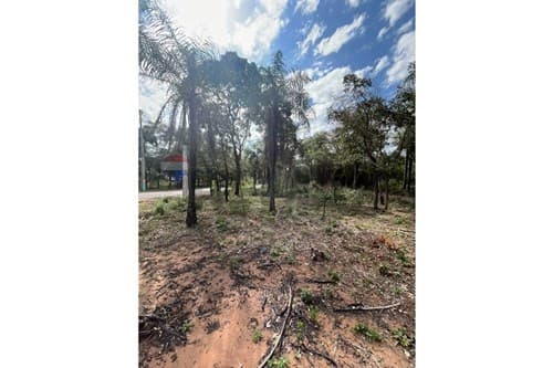 Terreno - venta - altos - cordillera paraguay, foto 4