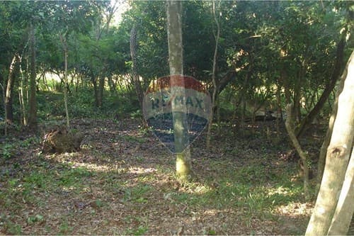 de Amplio Terreno en Eusebio Ayala — foto 4