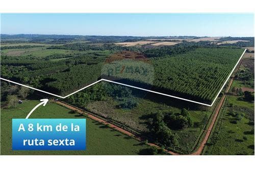 72 Hectáreas en venta en el Distrito de Trinidad — foto 2