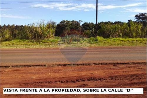 Amplio terreno, ideal para industria y/o comercio — foto 4