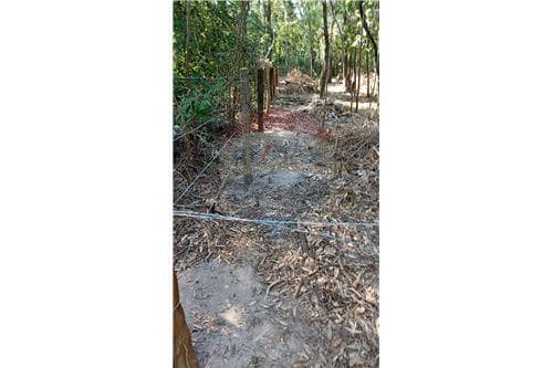 Hermoso Terreno camino a ES VEDRÁ ciervo cua, foto 2