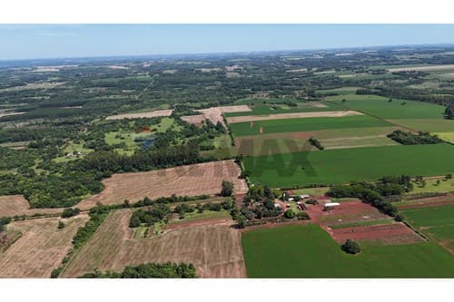 Terreno de 7 Has. en Capitán Miranda - Itapúa — foto 4