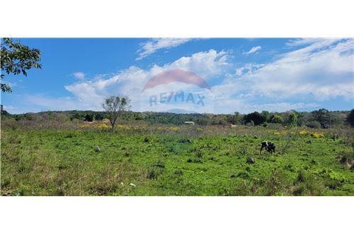 En venta terrenos en la ciudad de loma grande — foto 5
