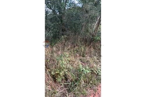 Terreno en Venta - Areguá, Isla Valle, foto 2