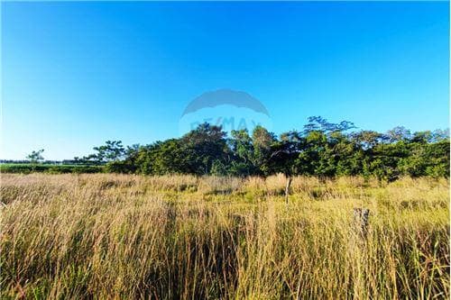 Terreno, 7 lotes ideal para reventa o casa quinta — foto 3