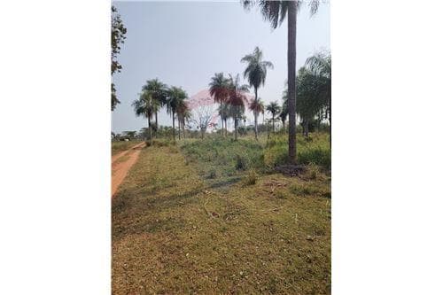 Terreno de 1 Hectárea — foto 5