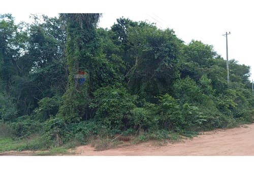 Terreno en altos a excelente precio — foto 2