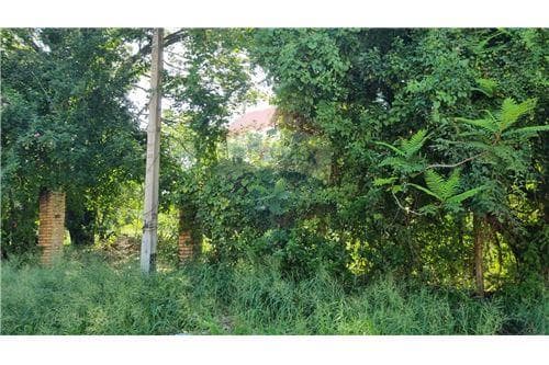 terreno en esquina Puerto Pabla- Lambaré — foto 5