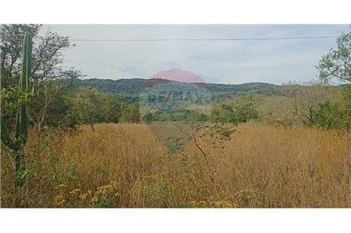 Vendo terreno en paraguari