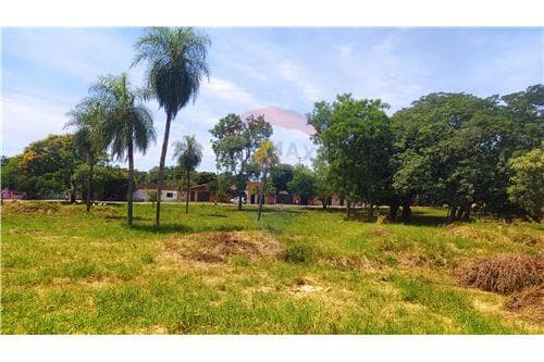 Terreno en venta en Eusebio Ayala — foto 2