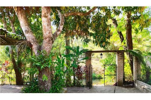 Casa quinta a orilla del rio yhaguy — foto 4