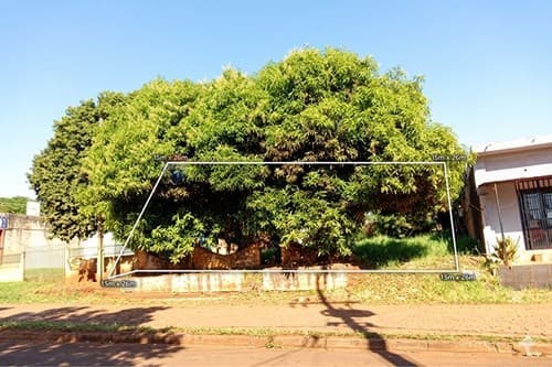 Terreno Comercial en Km9 Acaray a 1000m/Py02 — foto 4