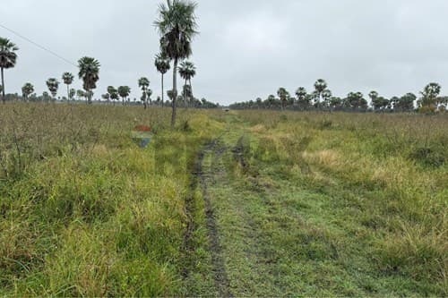 Terreno en Villa Hayes: Invierte Hoy Mismo!, foto 3