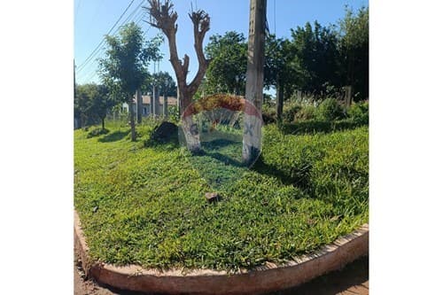 "Oportunidad de Inversión en Itapúa: Lote Esquina" — foto 2