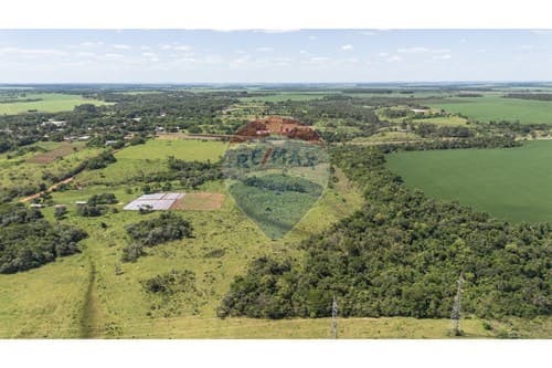 10 Hectareas sobre Ruta py 02 - km 52 YGUAZU, foto 3