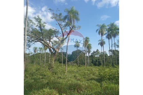 Tu Terreno Soñado en Emboscada, Paraguay, foto 2
