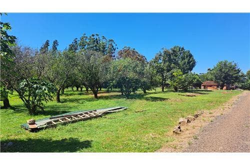 3 hectareas con casa quinta y naturaleza en venta — foto 5