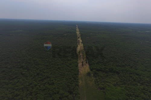 Excelente oportunidad Campo virgen Chaco Paraguayo — foto 4