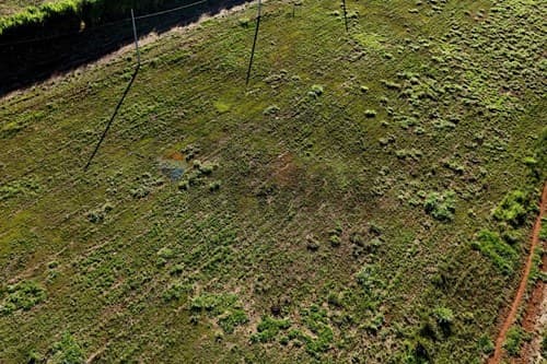 Terreno km 14 996 m² sobre rio acaray — foto 2