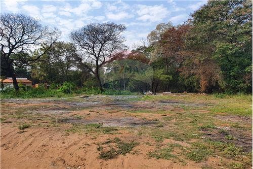 Terreno en mariano zona maria auxiliadora — foto 3