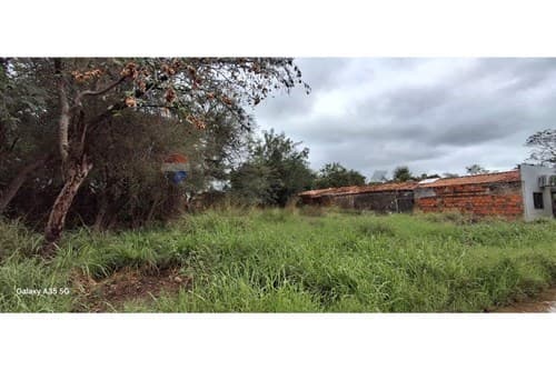 Terreno en Limpio, foto 5