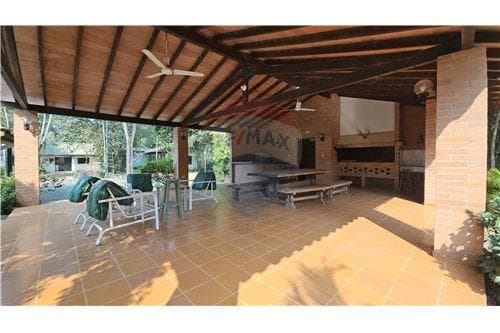 55 hectareas con casa amoblada y eucalipto — foto 4